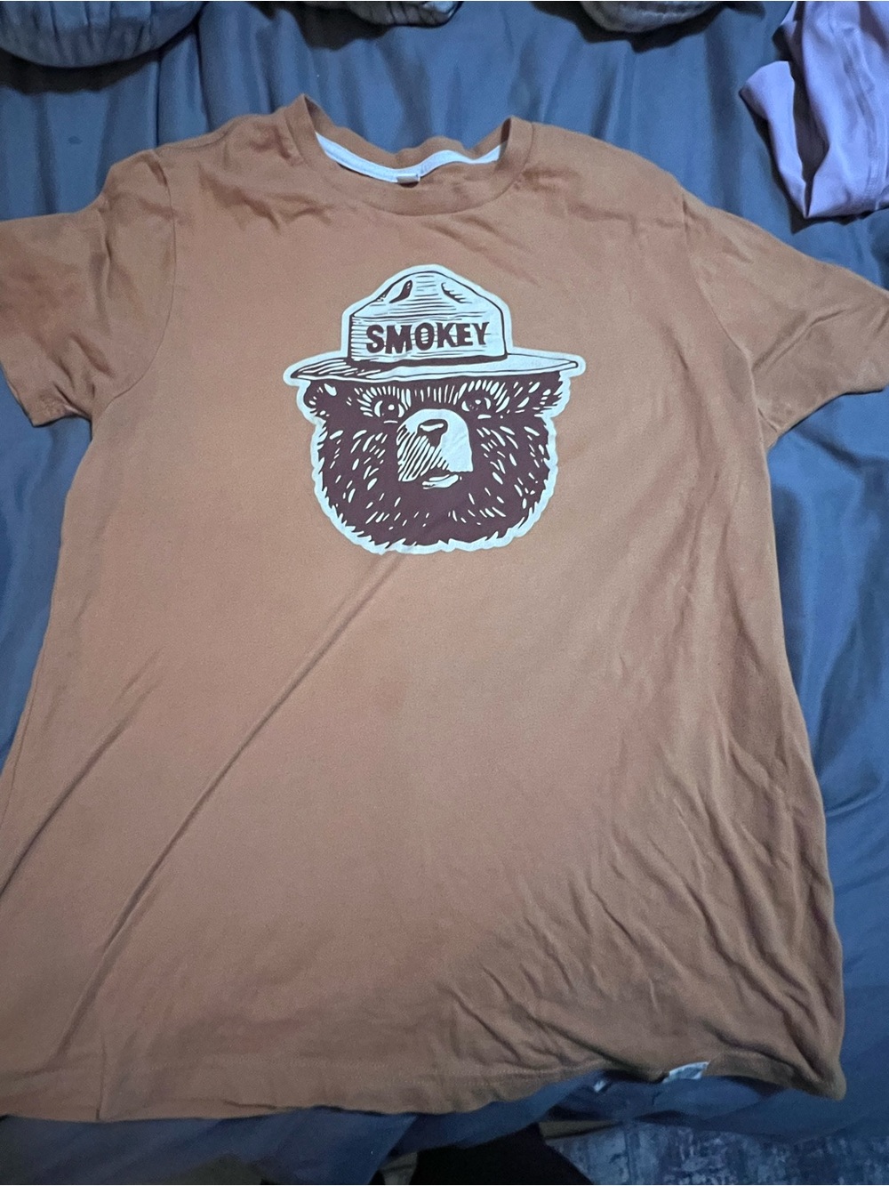 Smokey Bear Graphic Short Sleeve Tee in Rust Orange